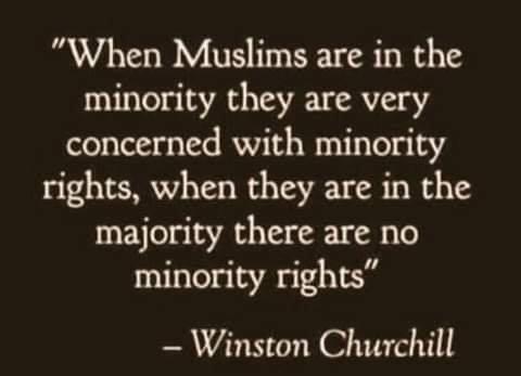 M Muslims