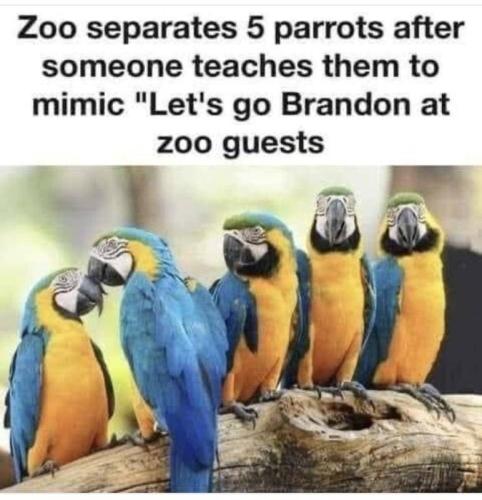 56a51381-30ee-42fc-8cd8-289d7423486c