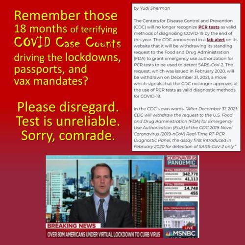 0000fake case counts