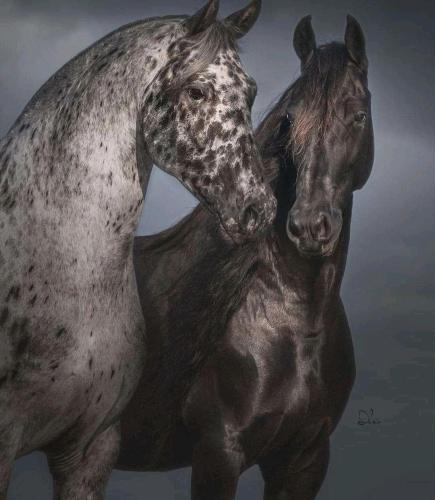 4B09B021-099A-4E27-BF06-063F9081EA7A