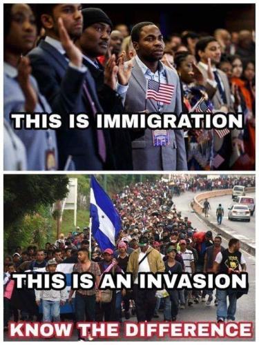 M invasion