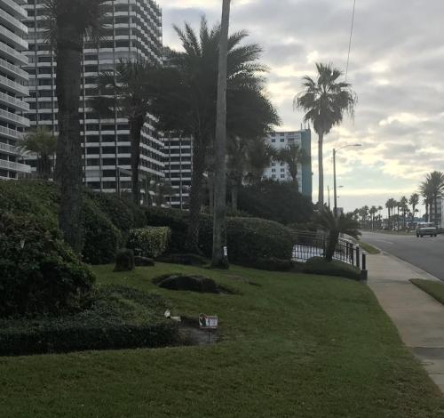 4EE7C8F1-218D-44F5-BE4F-FC0EFE241AEA