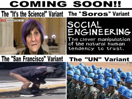 263534935_1059741988181242_3253215644120361283_n