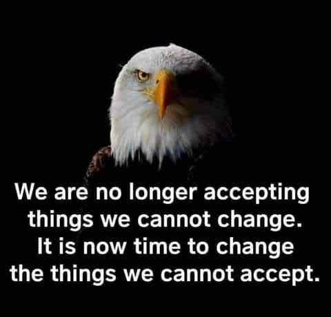 FB_IMG_1634767882909