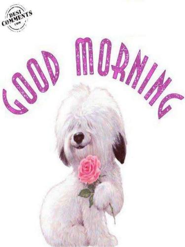 facebook_1640619700847_6881257773744052782