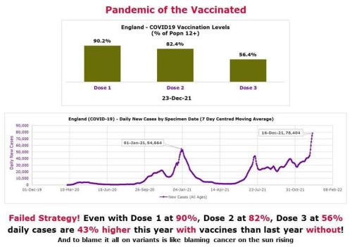 PandemicOfVaccinated1