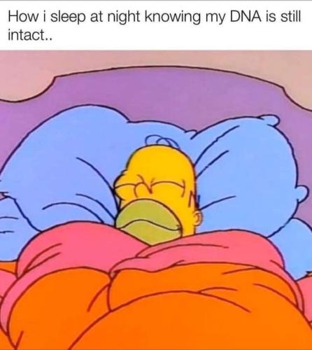 22847441-7C01-4D6B-81D1-E664C50068CF