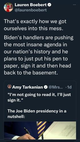 THE BIDEN PRESIDENCY IN A NUTSHELL