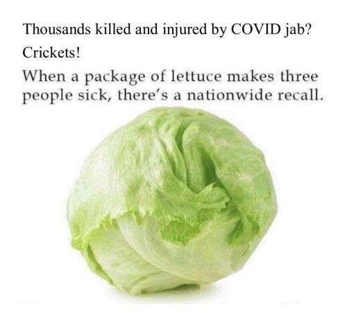 336