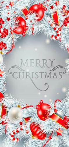 Merry Christmas (2)