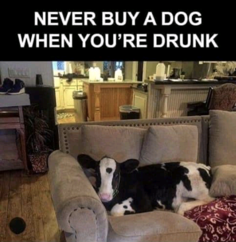 Screenshot_20211204-225011~2