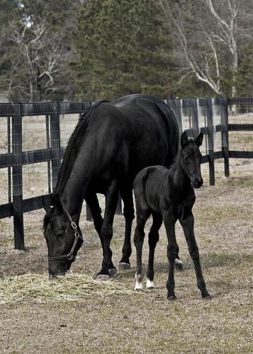 812F120D-285E-4F5B-B11E-D0F01B57A375