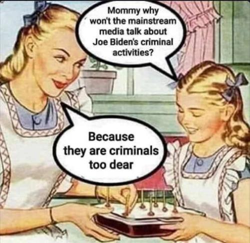 mother-why-mainstream-media-not-cover-biden-crimes-criminals-too