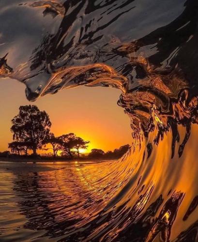 9E941A31-CC93-436B-A035-B677C925FDBD