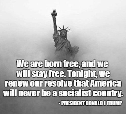 Donald214