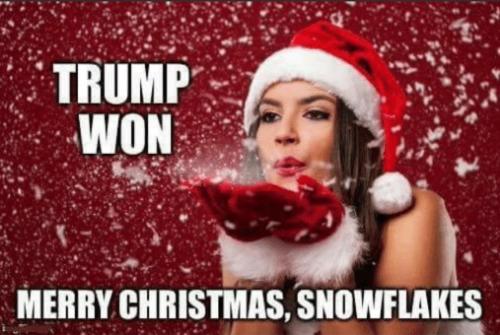 img - 2021-12-25T040546.287