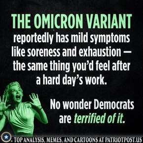 d1c02a1e-1cca-4ff5-9520-63c25101d803