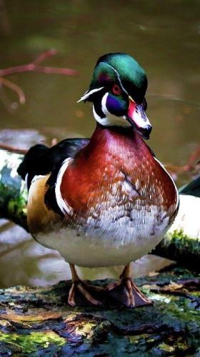 7FEADDD1-5B51-48BE-985F-E9386A46163C