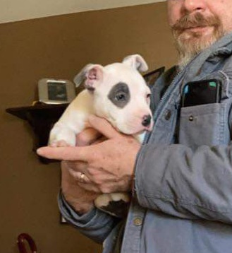 received_593842621716940