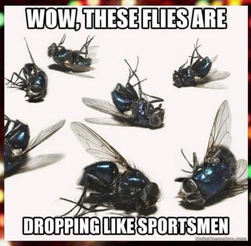 DroppingLikeSportsmen1