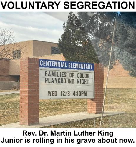Voluntary segregation SMALL