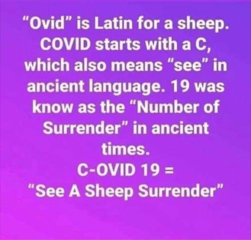 4026f6e2-3f11-42d7-badd-18bd92aa4d9c