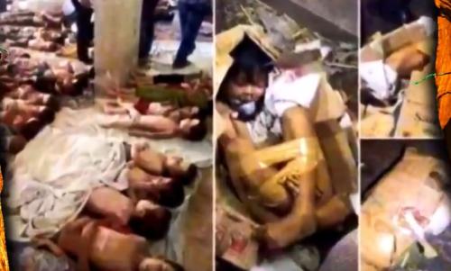 Screenshot_20211213-070439_Chrome