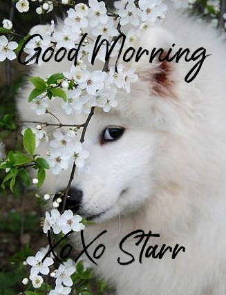 morningeye