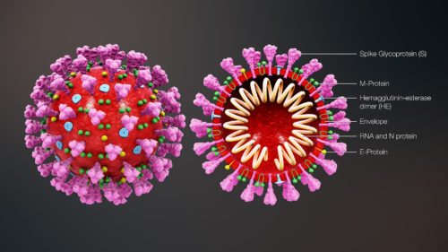 Coronavirus-Blowup-Image-500x281