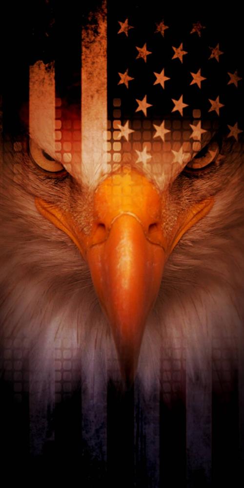 Eagle-bf385e3c-17f1-4379-9645-e81c725c8d0e