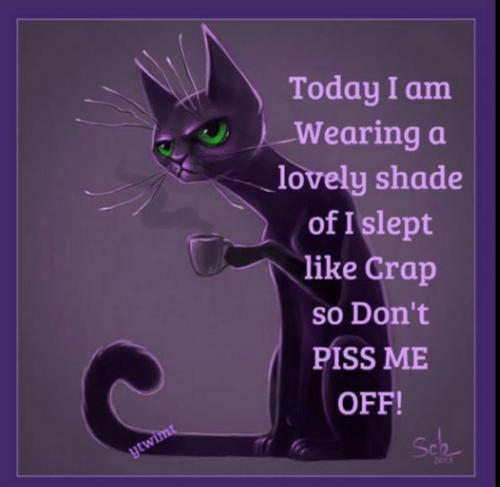 Screenshot_20211214-102110_Google