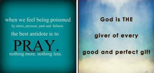 Screenshot_20211205-123659_Photos