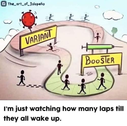 VariantBoosterLaps1
