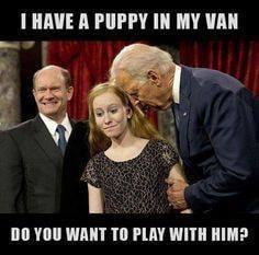 I have a puppy in the van