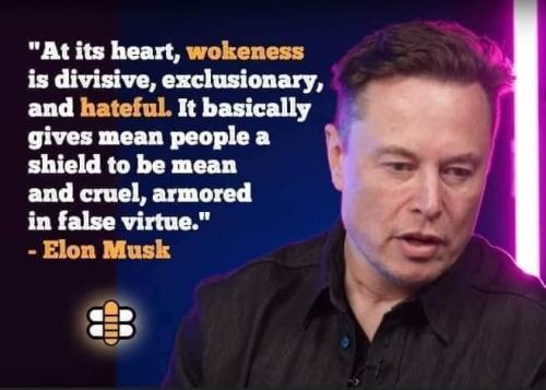 ElonMuskWokeness