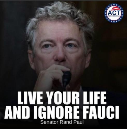 126d695d1f761fd1c0edd6292593a86a_500x0