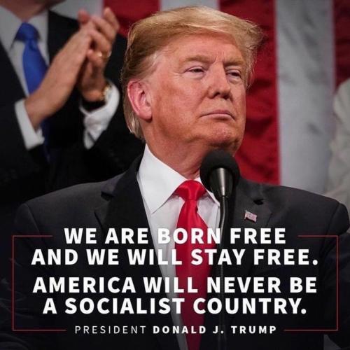 image_1630485934.537