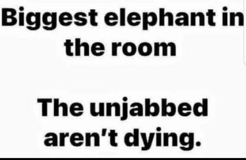 70D6CBE6-004F-4433-A9D7-E0173C4D44A4