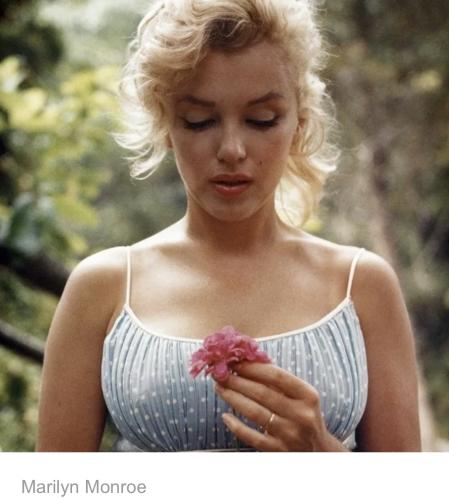 ED0D706C-80AE-4498-B5F8-201193016948