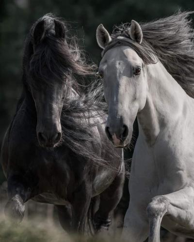 B98EC753-898A-40B3-BB6B-3127E1F854CC