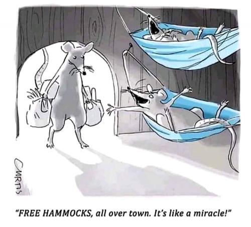 Free Hammocks