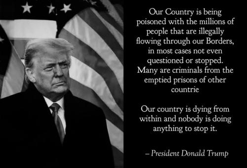 image_1638755443.823