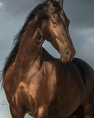 2C144BA5-0C9E-4942-BCE0-C9C3CB1D292C