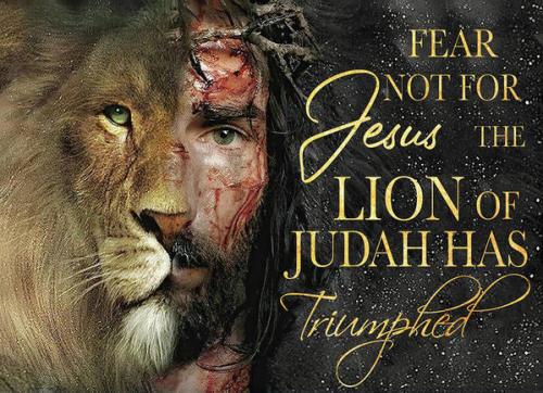 the-lion-of-judah-has-triumphed-