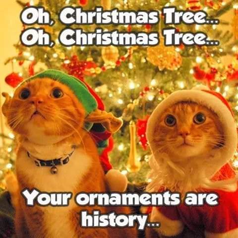 FB_IMG_1640009751827