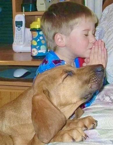 F5A15E1B-6345-4876-B507-8D1585FF429C