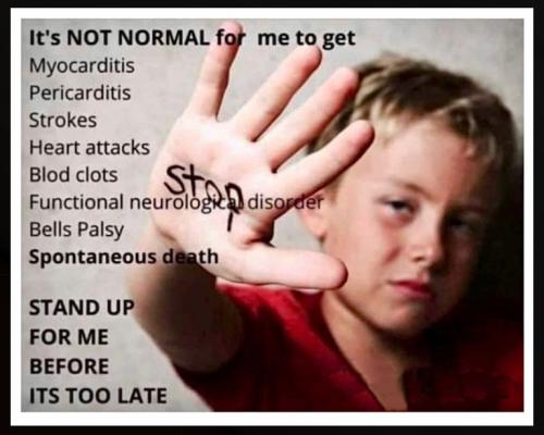 af3363d317e26ef60d77af5a23f2e73d_500x0