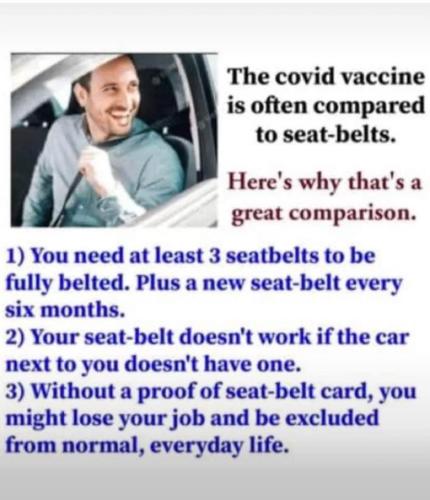 Vaccine - seat belt