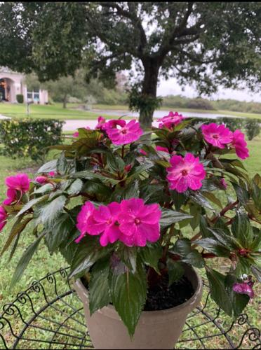 E563F1E6-7D91-4647-BBC4-51AE287D3274