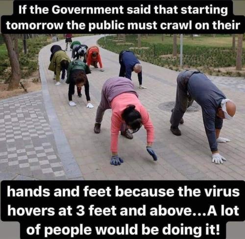 crawl